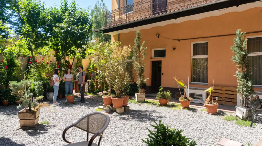 Shared backyard space at Transylvania Hostel in Cluj-Napoca